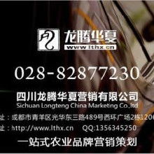 品牌策劃與網(wǎng)絡(luò)營銷 從策略到執(zhí)行的全方位解析