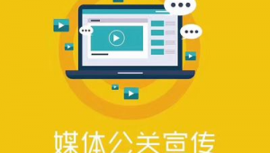 智聯(lián)灣區(qū)，網(wǎng)贏未來 廣東省網(wǎng)絡(luò)推廣與市場營銷整合策劃方案
